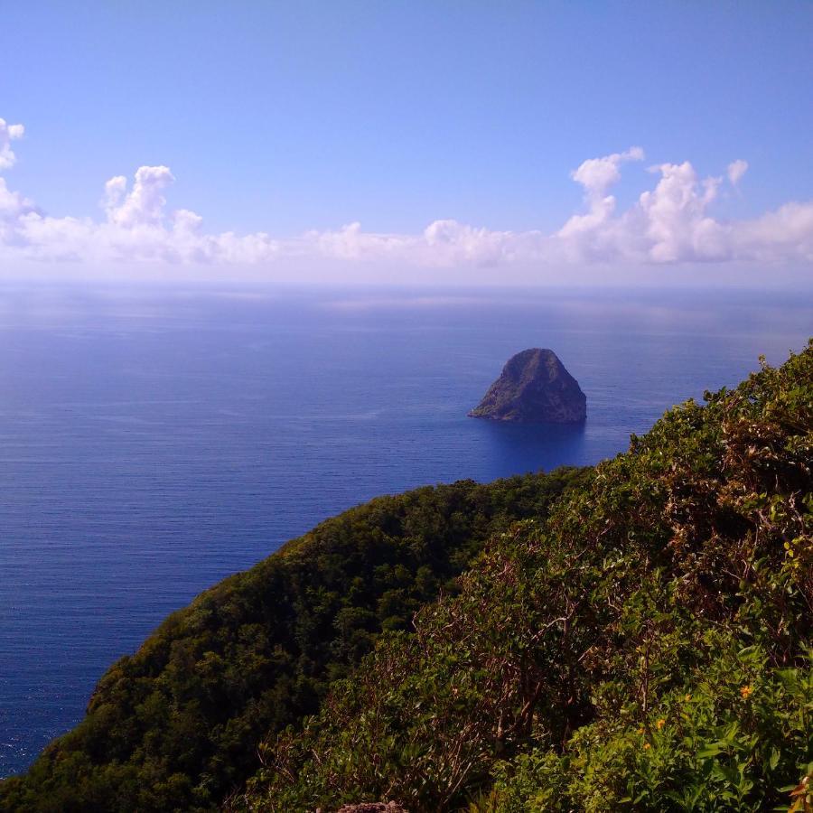 Douceur Antilla Apartment Morne Blanc ภายนอก รูปภาพ
